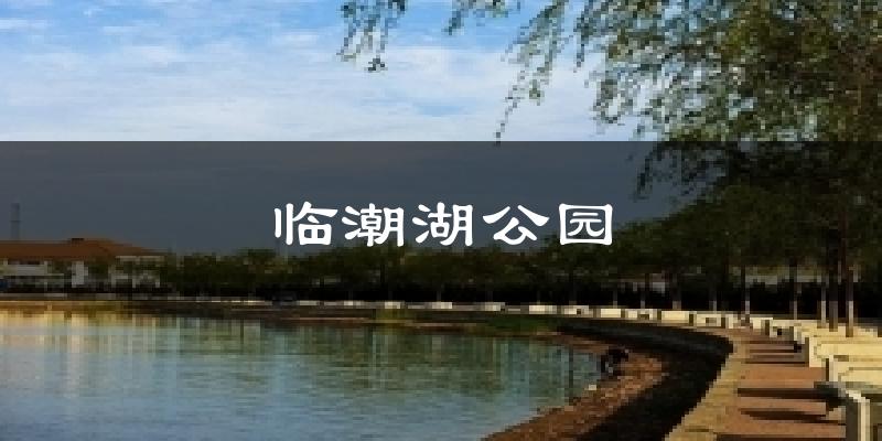 臨潮湖公園氣溫