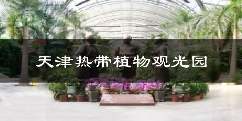 天津熱帶植物觀光園天氣預(yù)報十五天