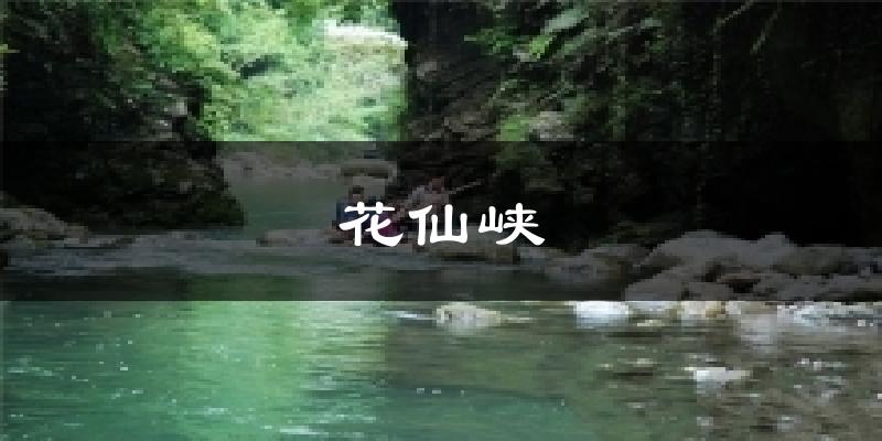 花仙峽天氣預(yù)報十五天