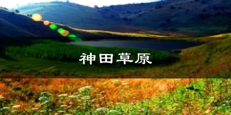 天津神田草原天氣預(yù)報(bào)未來一周