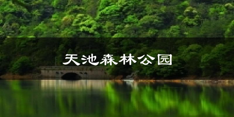 天池森林公園天氣預報十五天