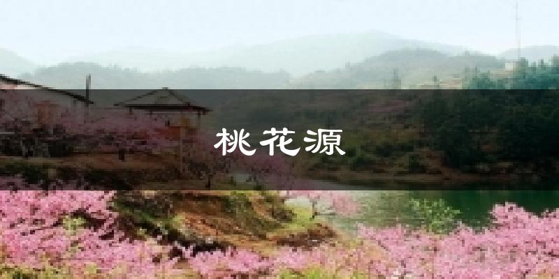 天津桃花源天氣預(yù)報未來一周