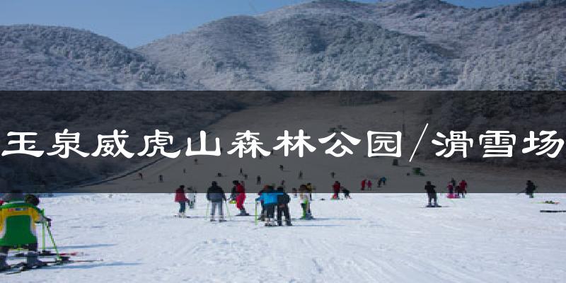 玉泉威虎山森林公園/滑雪場天氣預報十五天