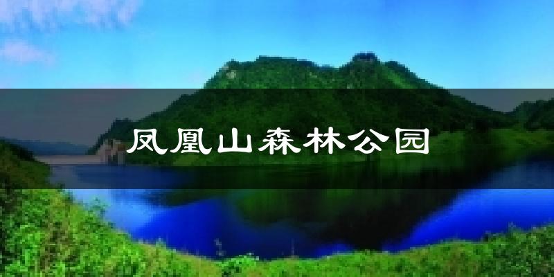 天津鳳凰山森林公園天氣預(yù)報未來一周